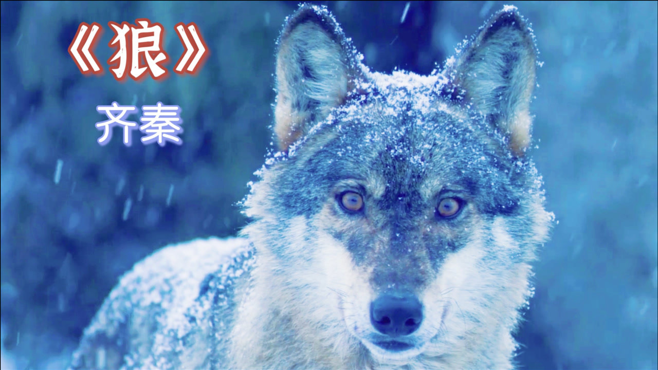 狼播下载苹果版直播魔盒苹果版下载