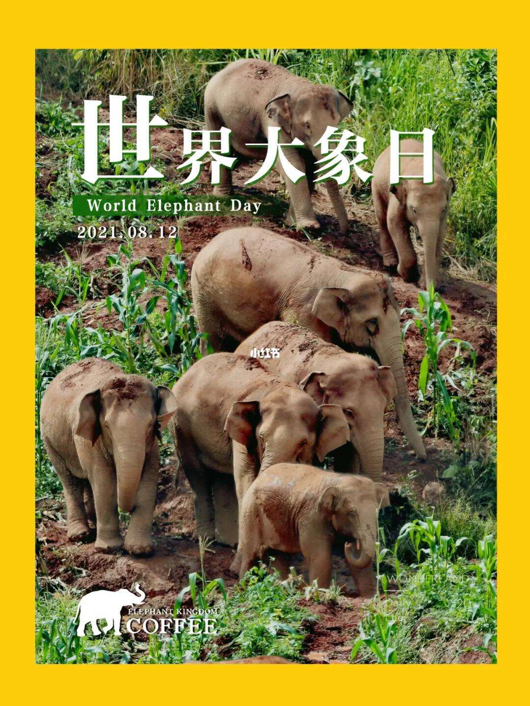 今日大象客户端淘宝买家信誉查询平台-第1张图片-太平洋在线下载